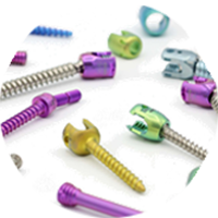 pedicle-screws-intech